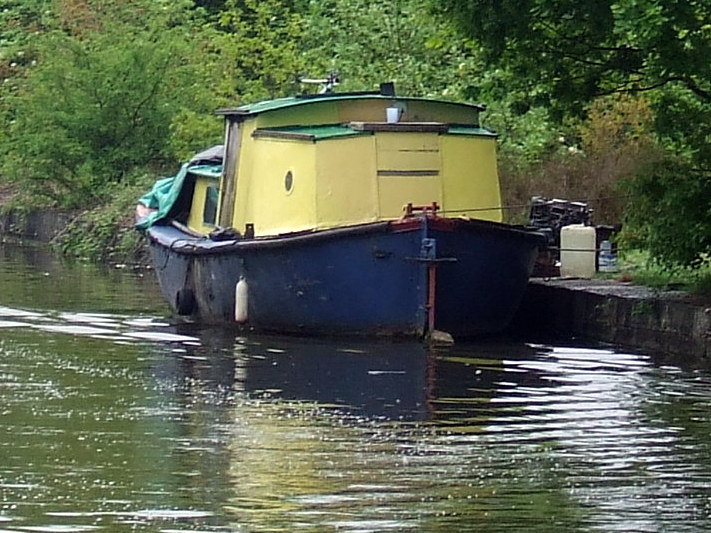 Early pleasure boats - purpose built, converted lifeboats and pontoons ...