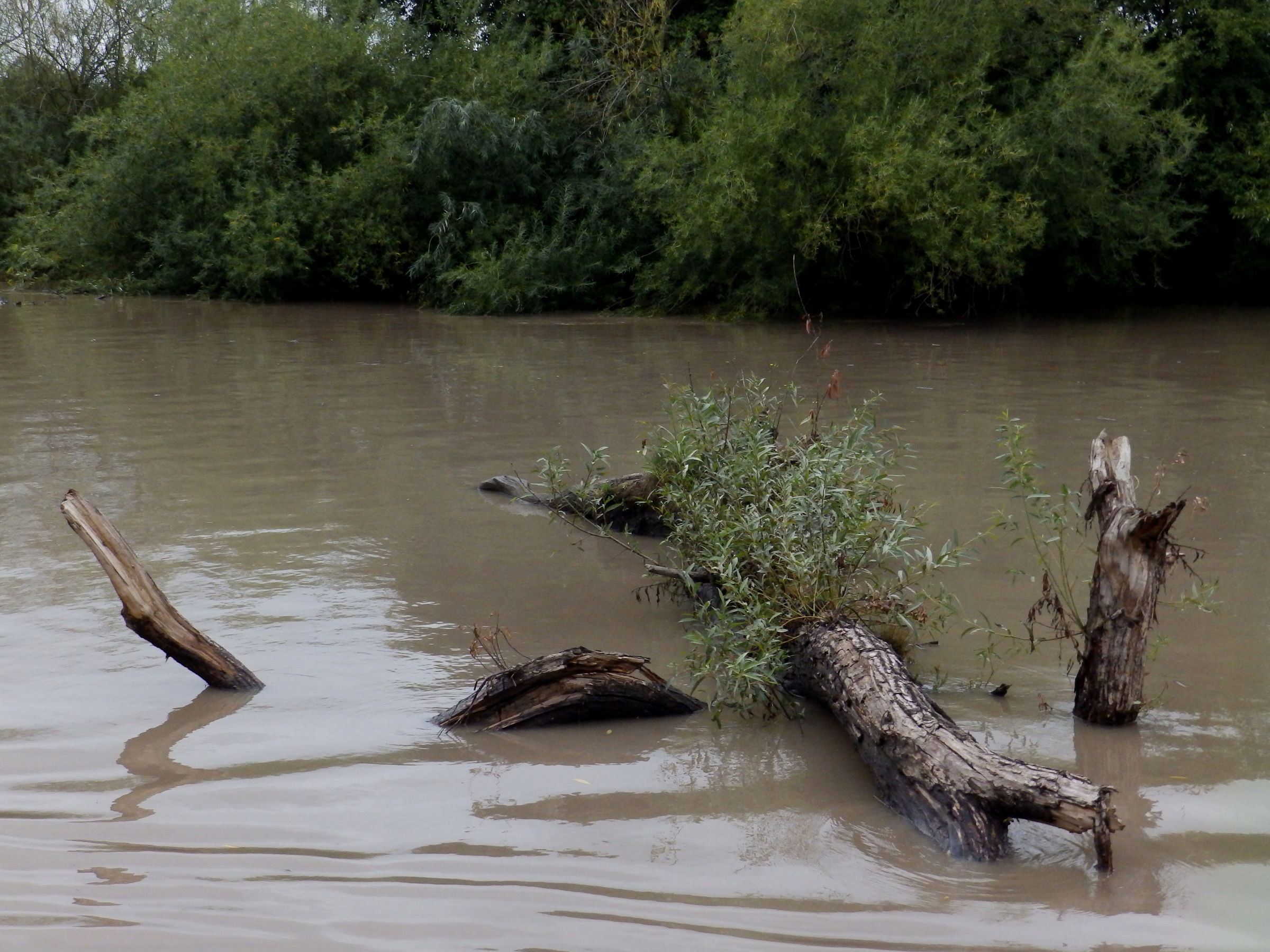 Best state of tide to leave Gloucester? - General Boating - Canal World