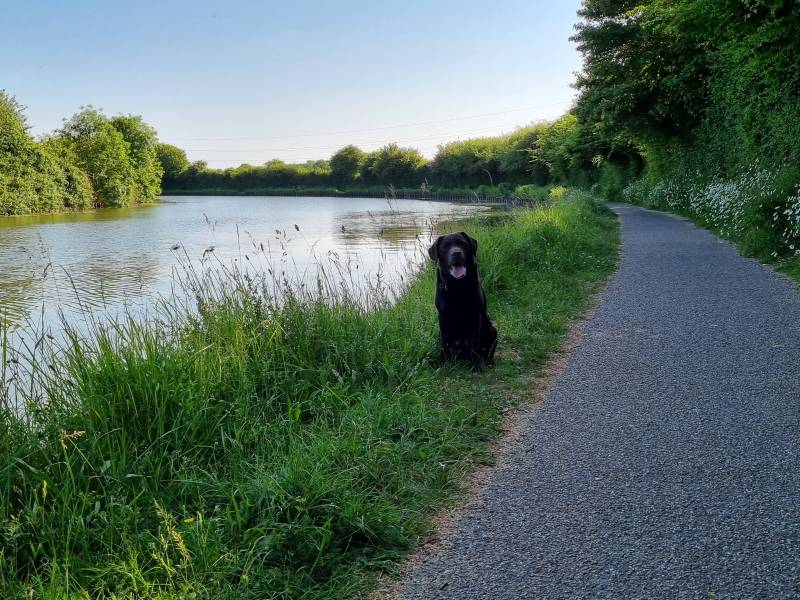 Gloucester & Sharpness Canal